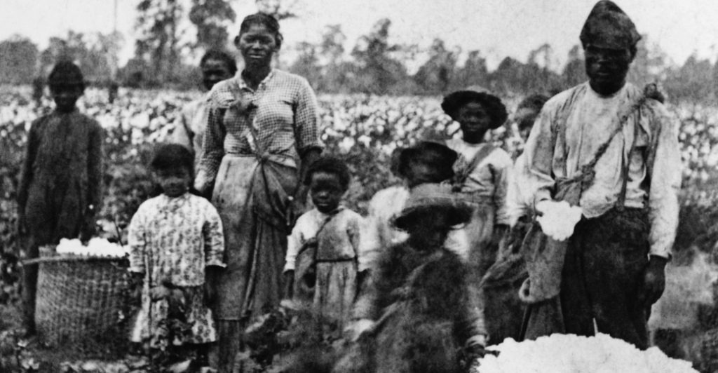 Une famille d'esclaves dans un champs de coton dans les années 1860
