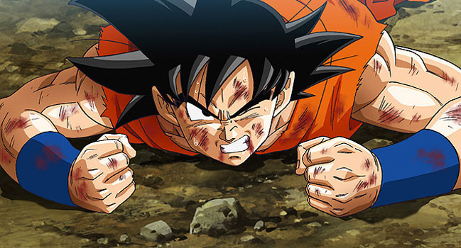 San Goku est un personnage tiré de l'univers de Dragon Ball Z.
