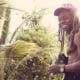 Avec son album "Tha Carter V", Lil Wayne réalise une énorme première semaine