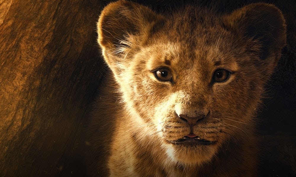 Résultat de recherche d'images pour "le roi lion"
